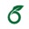 custom_website